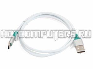Кабель синхронизации USB 2.0 - USB Type-C (100 см) бело-зеленый
